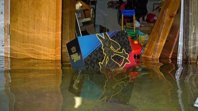 梦卡牌被淹 保险理赔仅“按纸板称重”CQ9电子最新网站倒霉网友万元宝可(图3)